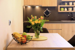 APARTMAN ZARA